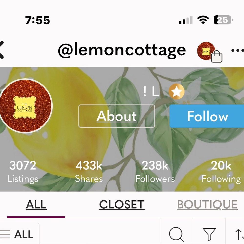 Toda Lemoncottage Text Typography Art